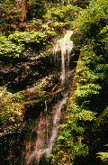 Lichtenheiner Wasserfall